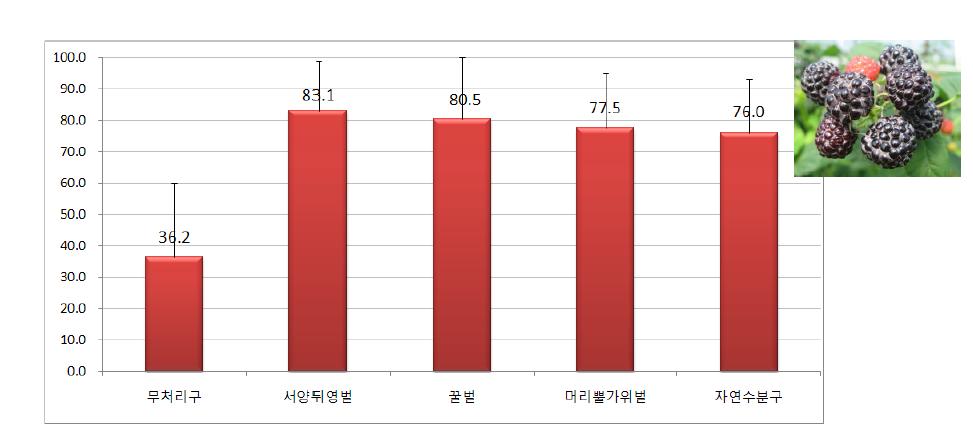 복분자에서의 화분매개곤충별 착과율(n=60), One way ANOVA test df=3, F=1.094 p=0.354