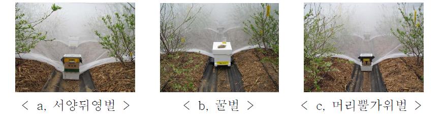 블루베리 포장의 화분매개곤충별 시험구 배치