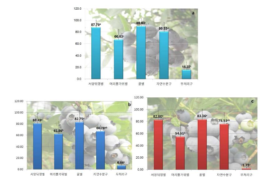 블루베리에서의 화분매개곤충별 착과율 품종 : a 듀크, b 어얼리블루, c 블루제이