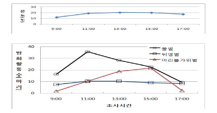 매실(망실)에서 봉종별 일주활동