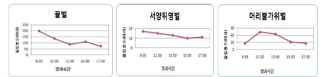 체리작목에서 망실 내 봉종별 소문출입활동 추이