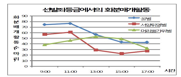 망실 내에서 봉종별 화분매개활동 추이