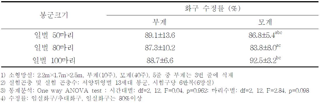 소형 채종용망실에서 서양뒤영벌의 봉군크기별 파 화구수정률