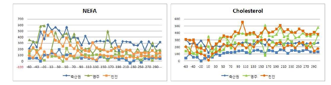 축산원-농장(영주, 천안) NEFA, Cholesterol 변화 양상 비교