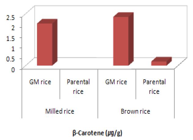 β-Carotene content of vitamin A-biofortified GM rice and parental non-GM rice