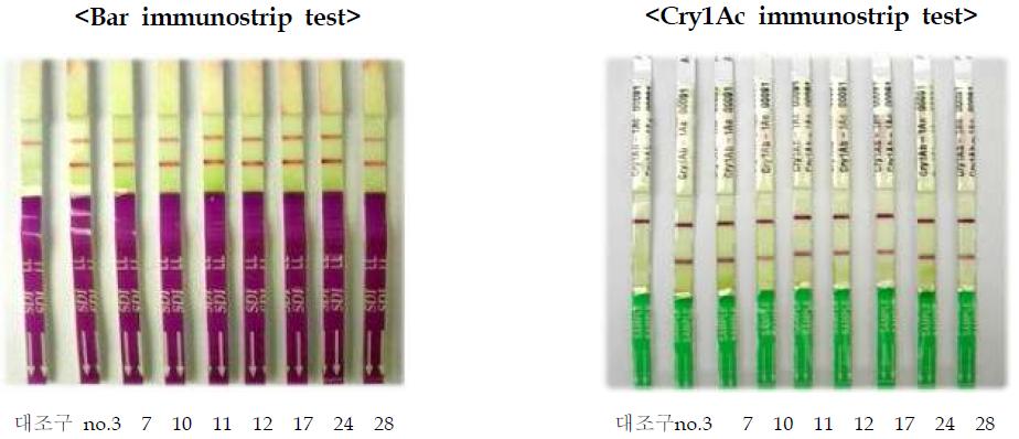 복합저항성 배추의 Cry1Ac와 bar 유전자 확인