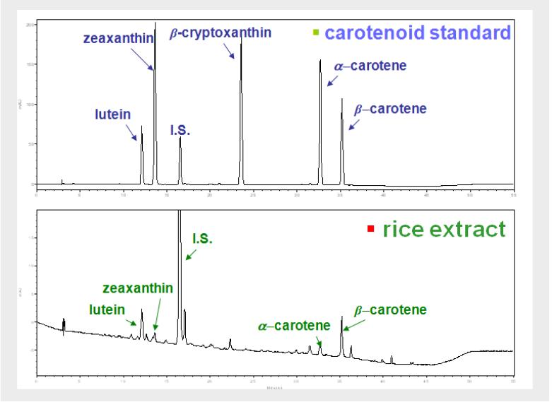 벼 추출물에서 검출된 카로티노이드의 HPLC 크로마토그램