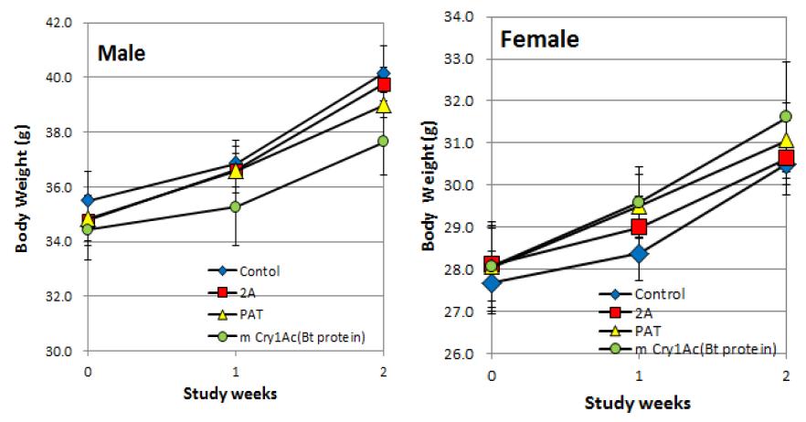 Body weight change for study weeks (n=10)