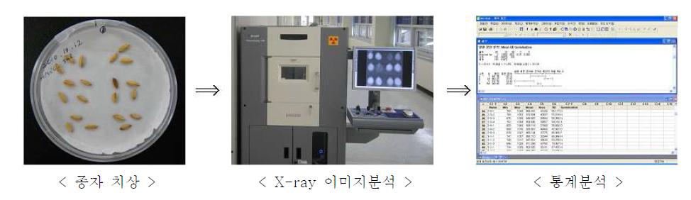 종자 X-ray 촬영 및 밀도값 분석 방법