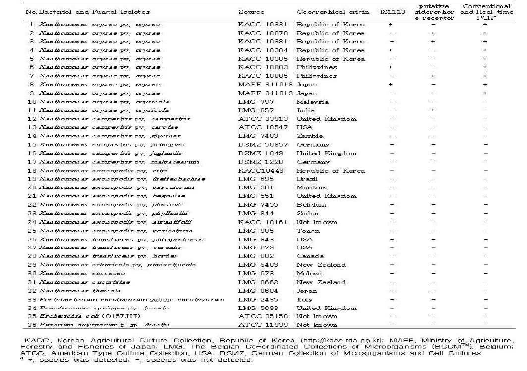 List of X anthomonas strains used in this study