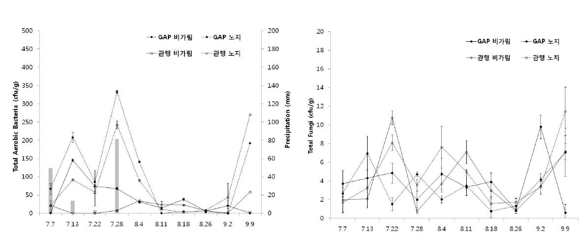 무봉지 재배시 생육기간중 일반세균과 곰팡이의 발생 양상