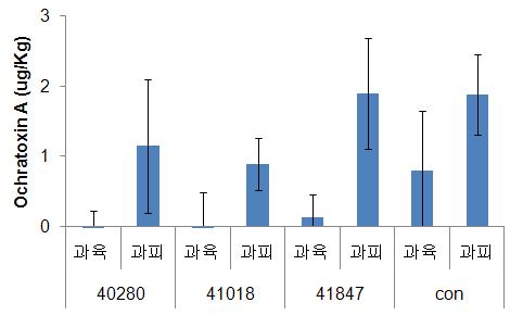 균주별 과립부위별 독소 생성량