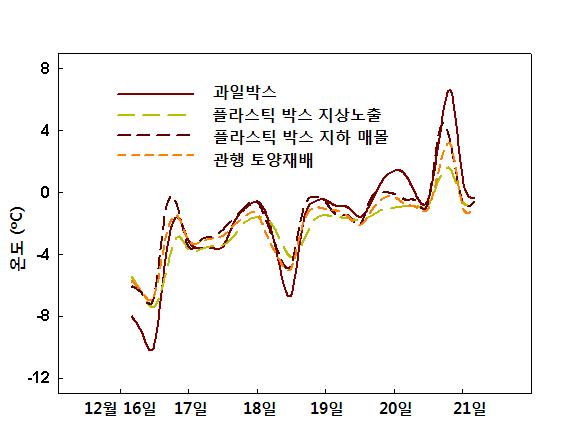 근권 제한 용기 재배가 동계기 지온에 미치는 영향