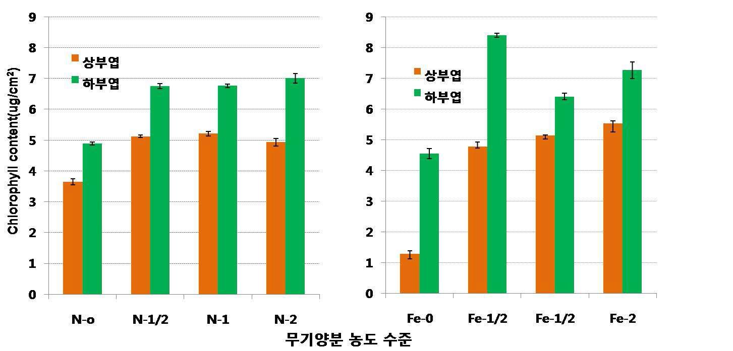 포도 캠벨얼리 품종의 질소 및 철 수준별 처리 15일 후 상부엽과 하부엽의 엽록소 함량