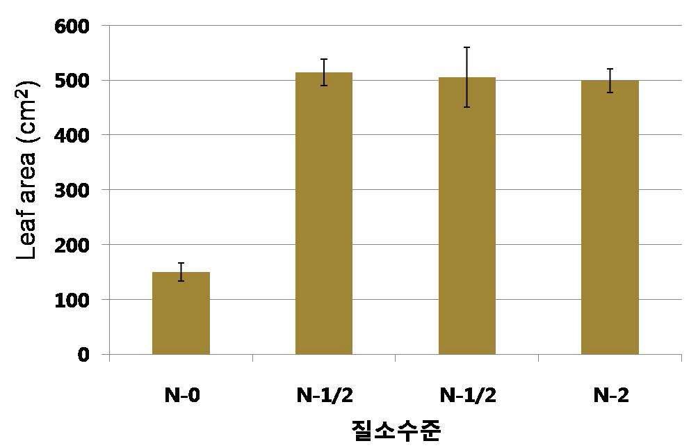질소 수준별 처리 15일 후 엽면적의 변화