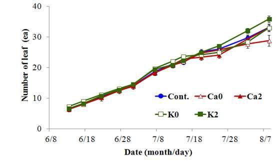 K, Ca의 과잉 및 결핍이 포도 ‘캠벨얼리’의 엽수에 미치는 영향