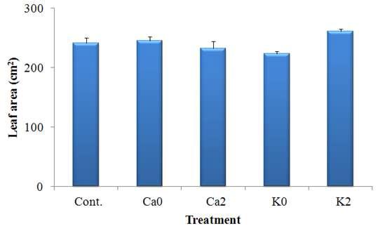 K, Ca의 과잉 및 결핍이 포도 ‘캠벨얼리’의 엽면적에 미치는 영향