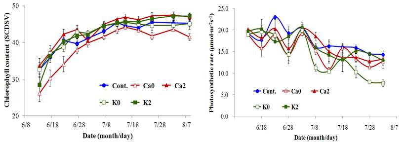 K, Ca의 과잉 및 결핍이 포도 ‘캠벨얼리’의 엽록소함량과 광합성률에 미치는 영향