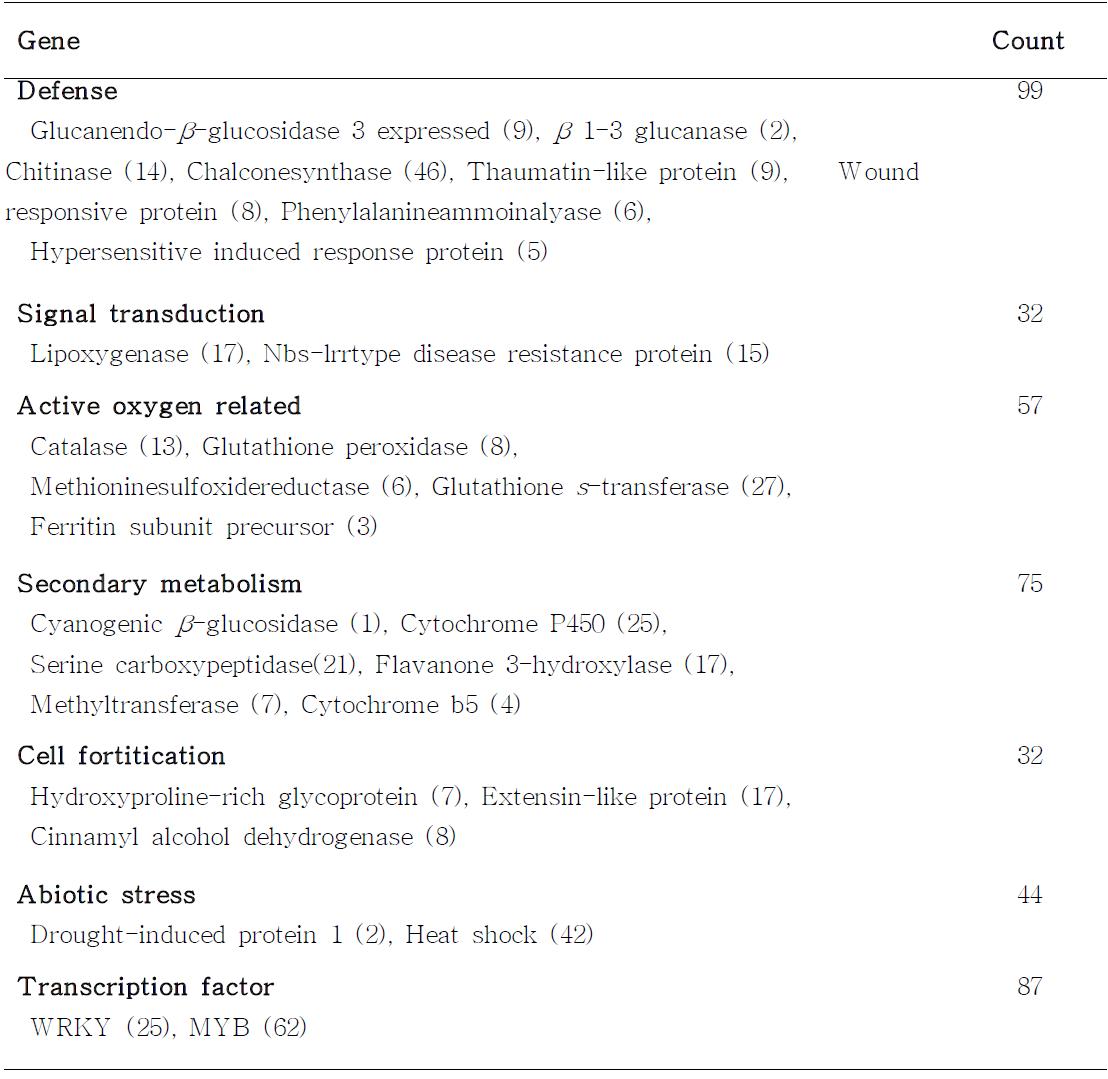 Expressed defense-related genes to R. vitis and SA