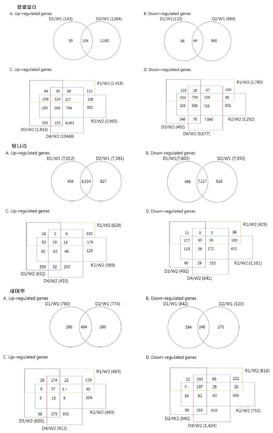 캠벨, 탐나라, 및 새머루 품종의 건조 및 재관수 처리에 따른 특이 발현 유전자