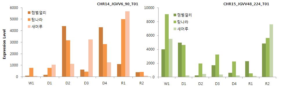 건조스트레스 하에서 증가 및 감소되는 유전자의 발현분석