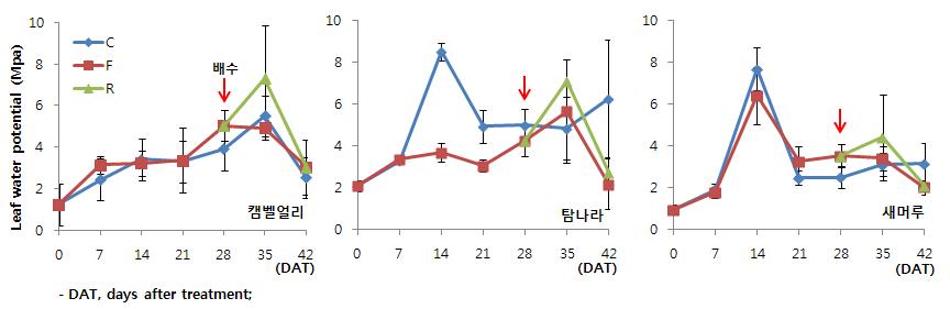 침수 처리 후 일수에 따른 수분포텐셜 변화