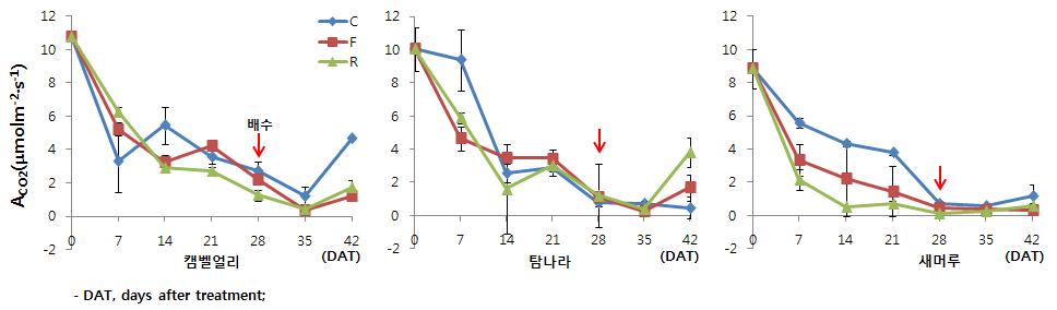 침수 처리 후 일수에 따른 광합성률 변화