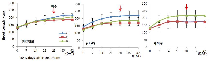 침수 처리 후 일수에 따른 생장량 변화