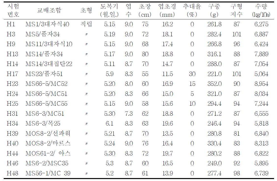 조합능력검정 선발계통의 생육 및 모구 특성