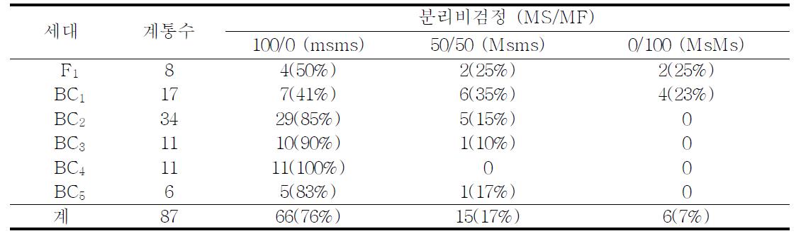 웅성불임 유지계통 핵내 유전자형 판별