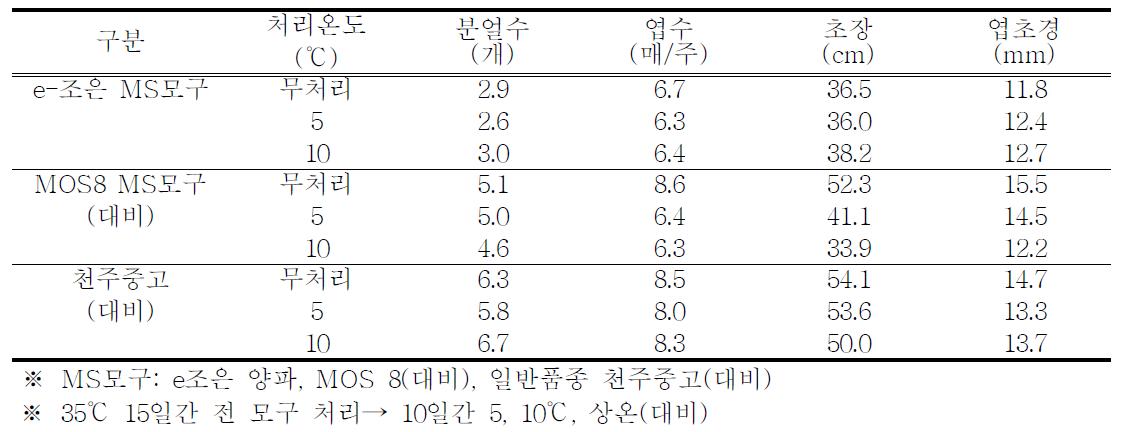 정식전 모구 온도처리에 따른 생육특성(2010-2011평균)