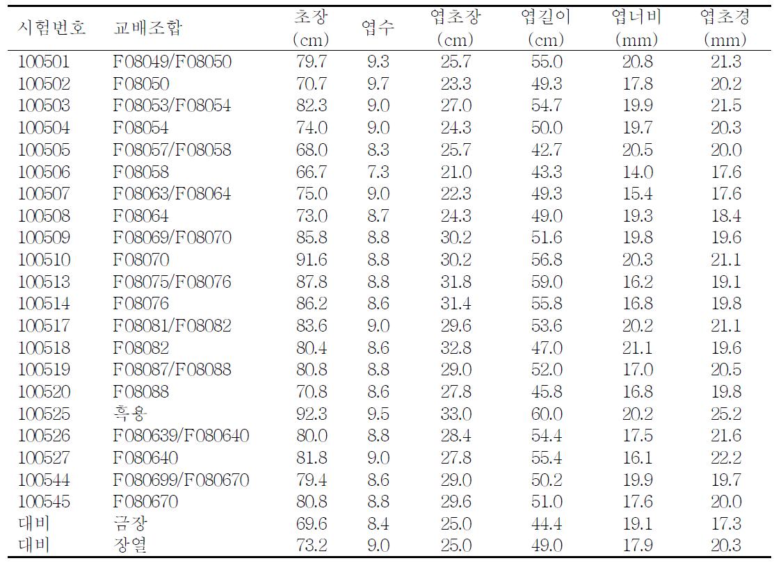 주요 웅성불임계통과 유지계통의 생육 및 수량특성