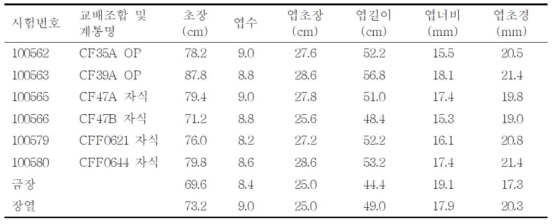 종간교잡 유래 파 선발 계통의 생육 및 수량특성