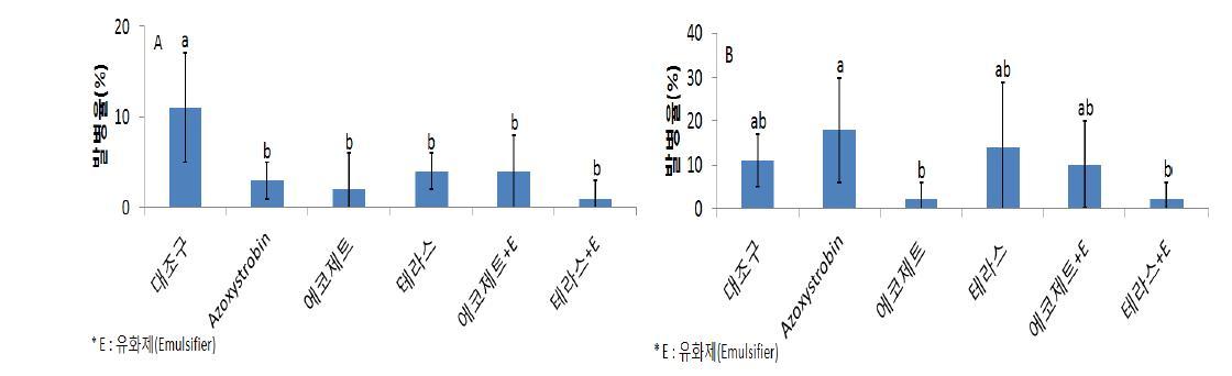 미생물 농약과 유화제 혼용에 의한 점무늬병 억제 효과. A: 자재 처리 전 병원균 접종 ; B: 자재 처리 후 병원균 접종