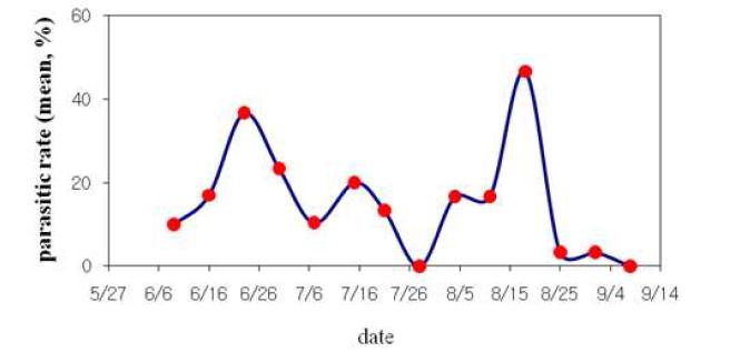 조명나방 난괴 기생률 변화(수원, 2009)