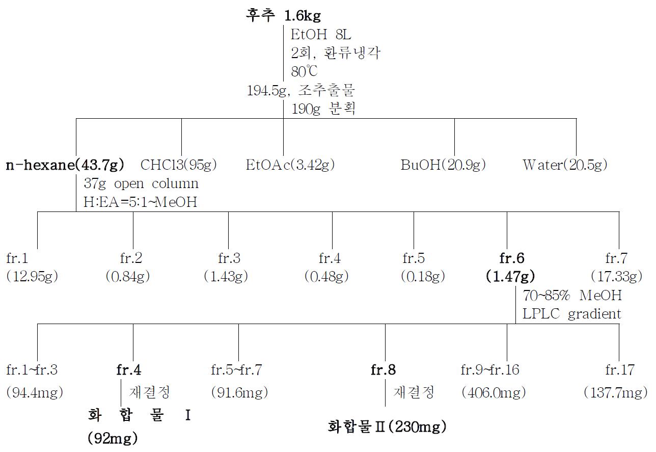 후추 유래 화합물의 분리 정제