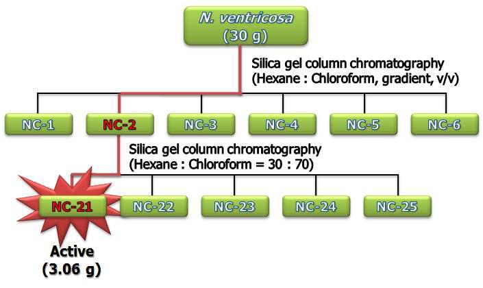 N. ventricosa chloroform 분획층의 컬럼크로마토그래피에 의한 분리정제