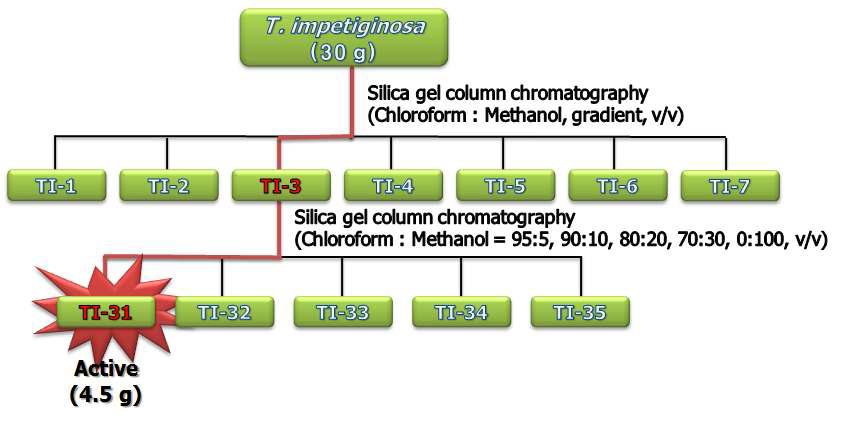T. impetiginosa chloroform 분획층의 컬럼크로마토그래피에 의한 분리정제