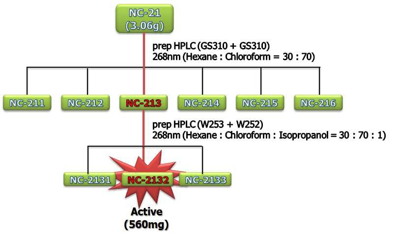 N. ventricosa 활성층 NC21의 고속액체 크로마토그래피에 의한 분리정제과정