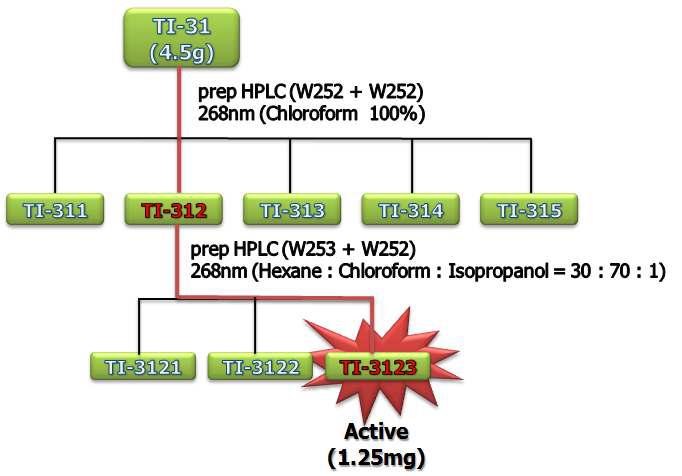 T. impetiginosa 활성층 TI31의 고속액체 크로마토그래피에 의한 분리정제과정