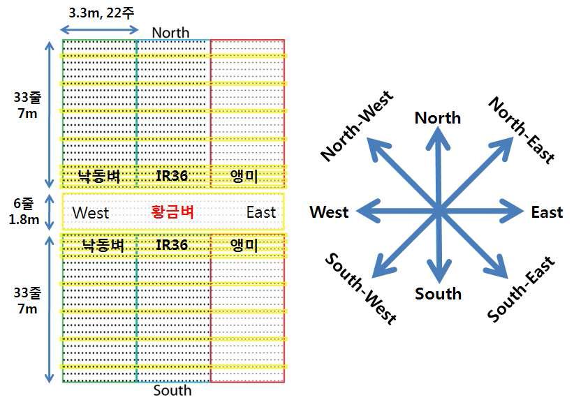 유전자 이동성 조사를 위하여 조성된 포장배치도