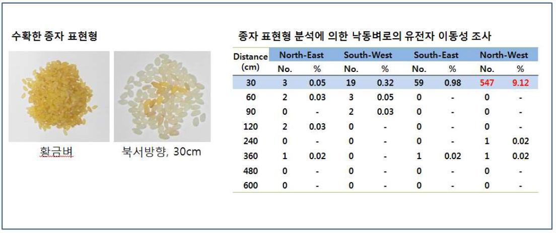 종자 표현형 분석에 의한 낙동벼로의 유전자 이동성 조사