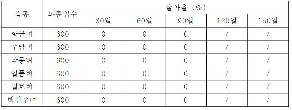 황금벼와 모품종인 낙동벼를 포함한 5개 일반품종들의 월동후 출아율 비교