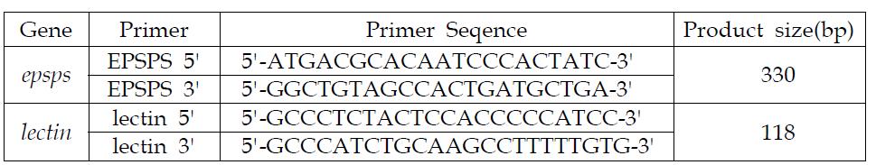 EPSPS와 lectin 유전자의 프라이머.