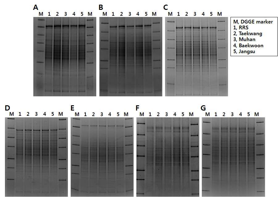 DGGE 분석결과. A, 2월 근권토양; B, 3월 근권토양; C, 5월 근권토양; D, 6월 근권토양; E, 7월 근권토양; F, 8월 근권토양; G, 9월 근권토양