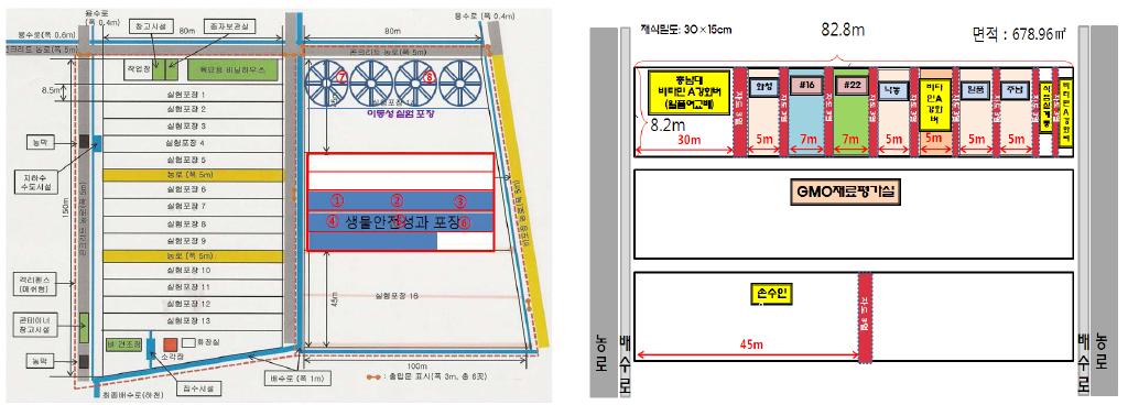 군위 GMO 포장 배치도 (‘09~11)