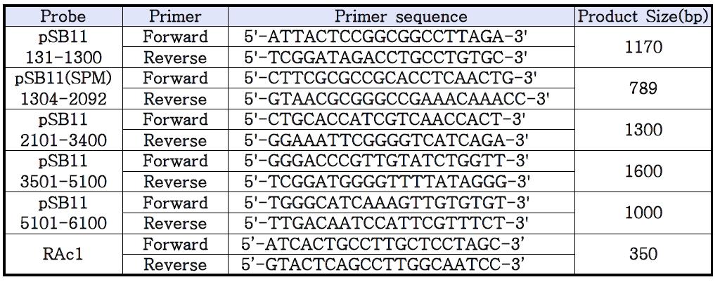 BackBone DNA 분석을 위한 사용된 프라이머.