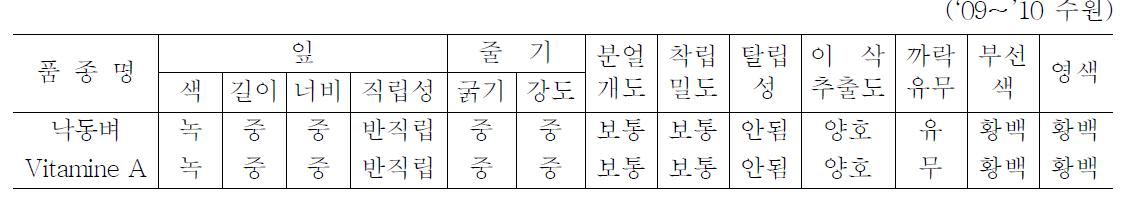 비타민A 강화벼와 낙동벼의 고유 특성