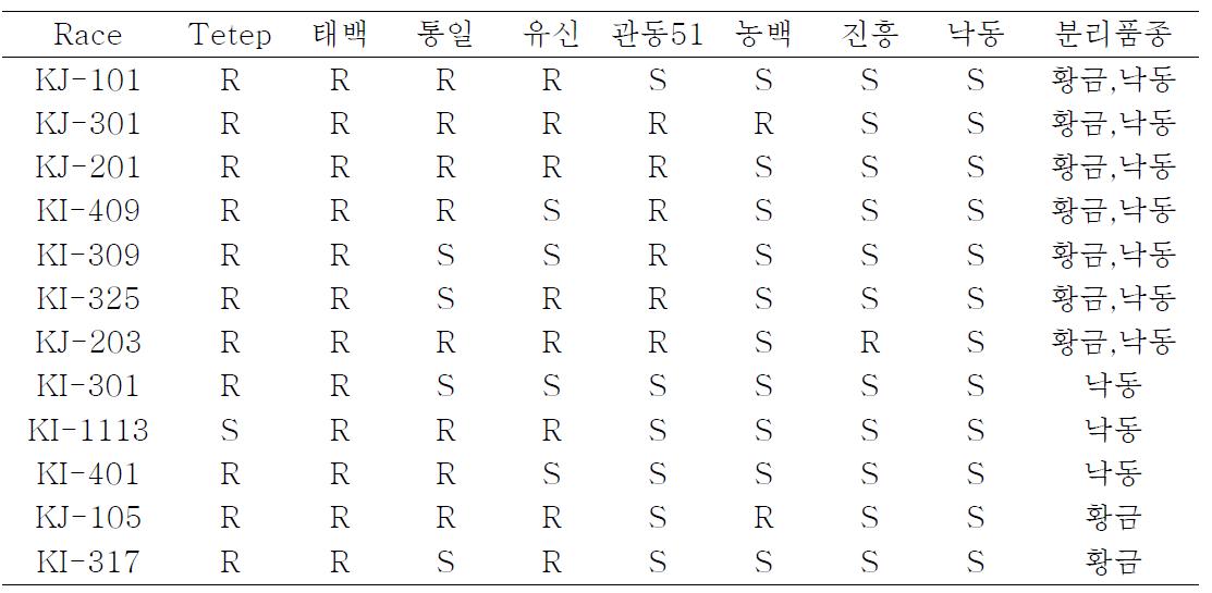 비타민 A 강화벼 침해 도열병원균의 판별 품종에 대한 저항성 반응