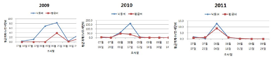 2009-2011년 낙동벼와 비타민 A 강화벼의 벼물바구미 밀도변화 추이